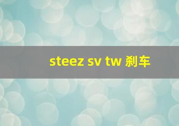 steez sv tw 刹车